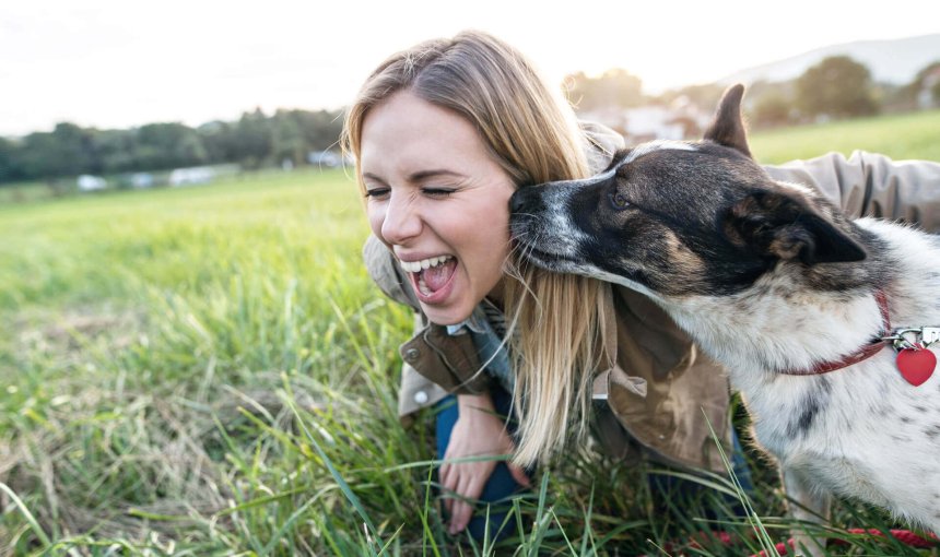 perro y mujer tumbados en la hierba. Perro lamiendo a la mujer.