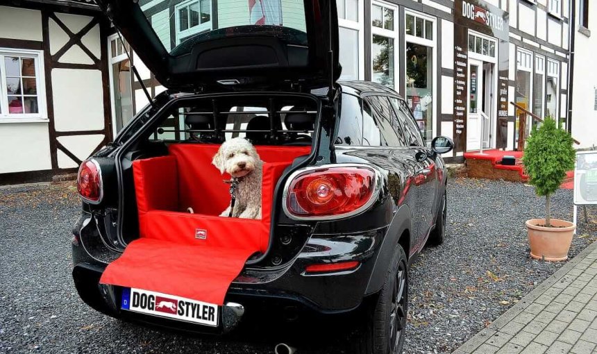 Autofahren mit dem Hund