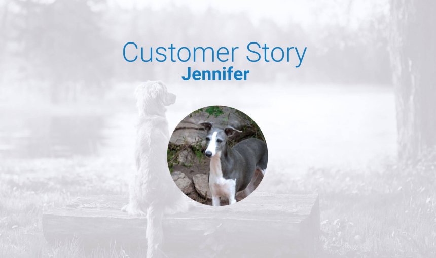 lost whippet customer story and Tractive review