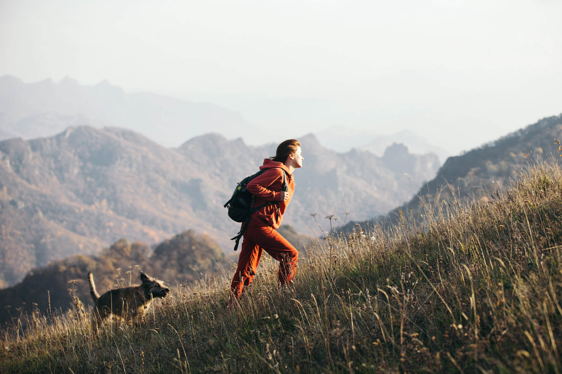 Frau wandert mit ihrem Hund auf einem Berg