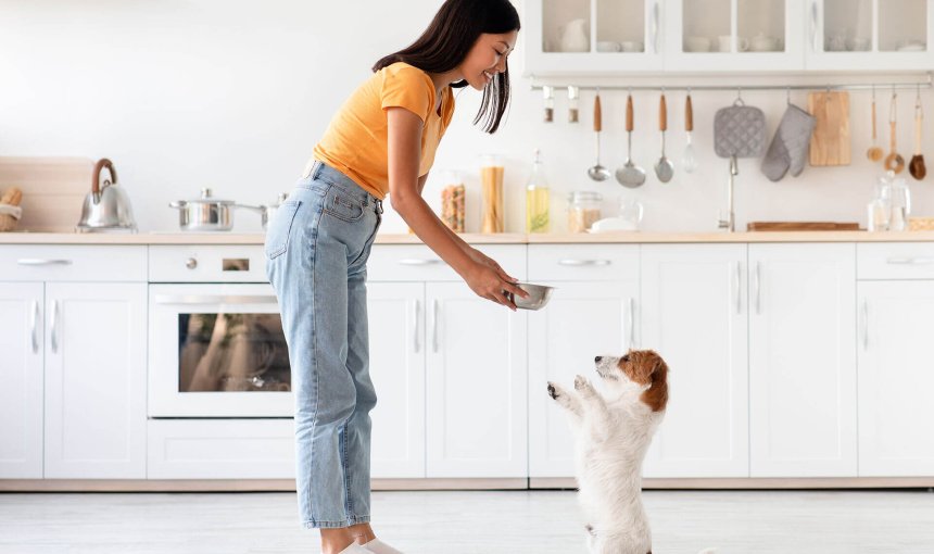 woman feeding a dog in the kitchen