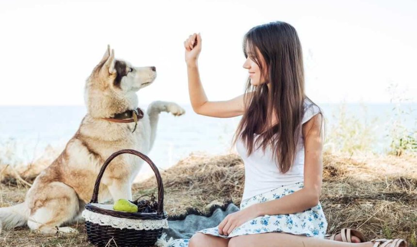 Hund mit Frau bei einem Picknick