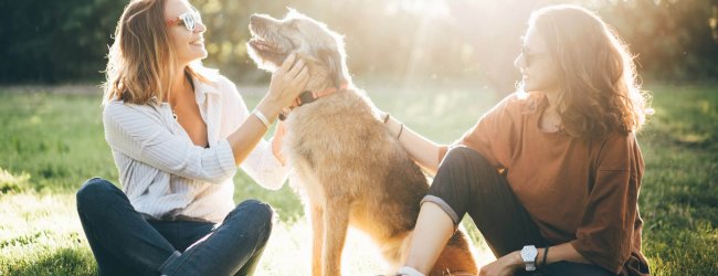 two woman sitting down outdoors with a dog