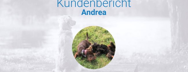 Kundenerlebnis zum Ortungsgerät Hund