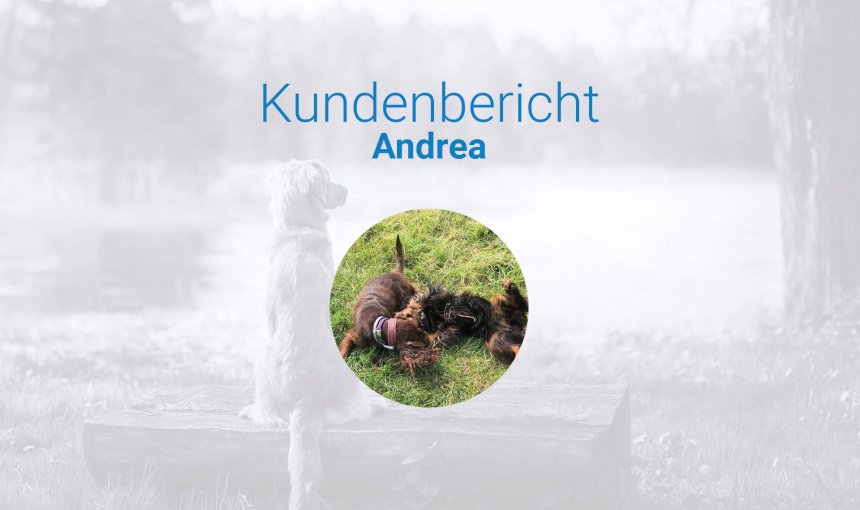 Kundenerlebnis zum Ortungsgerät Hund