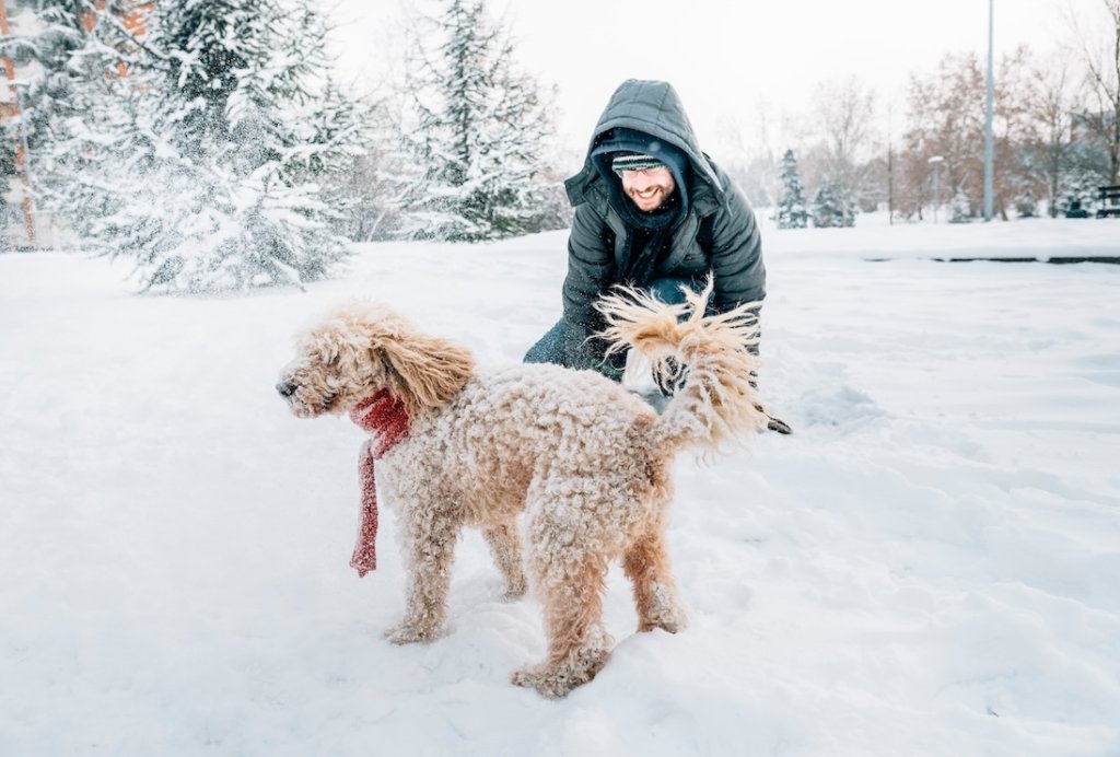 Mann gräbt mit seinem Hund im Schnee