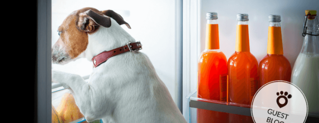 A dog sniffing inside a fridge