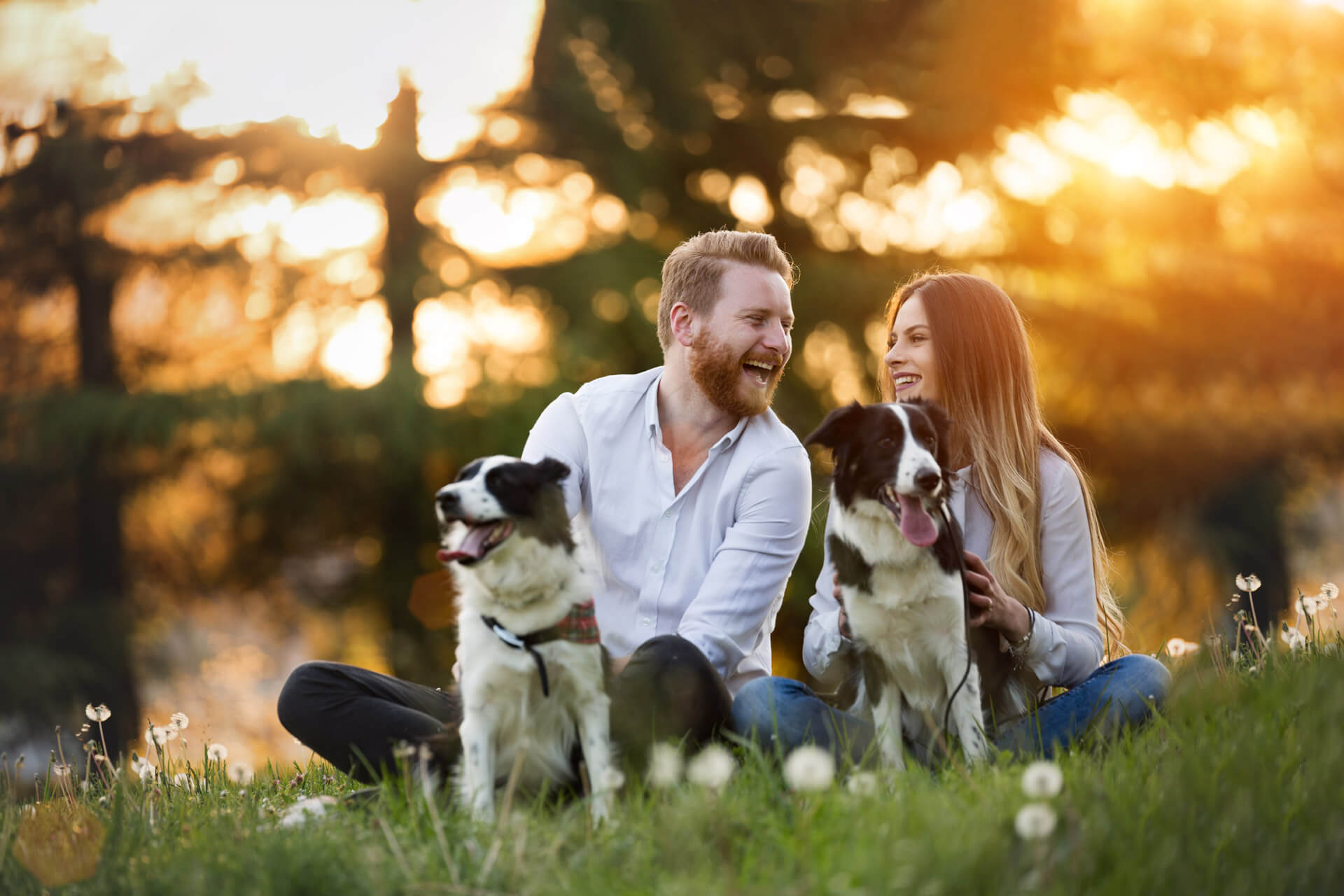 A couple walking their dogs outdoors