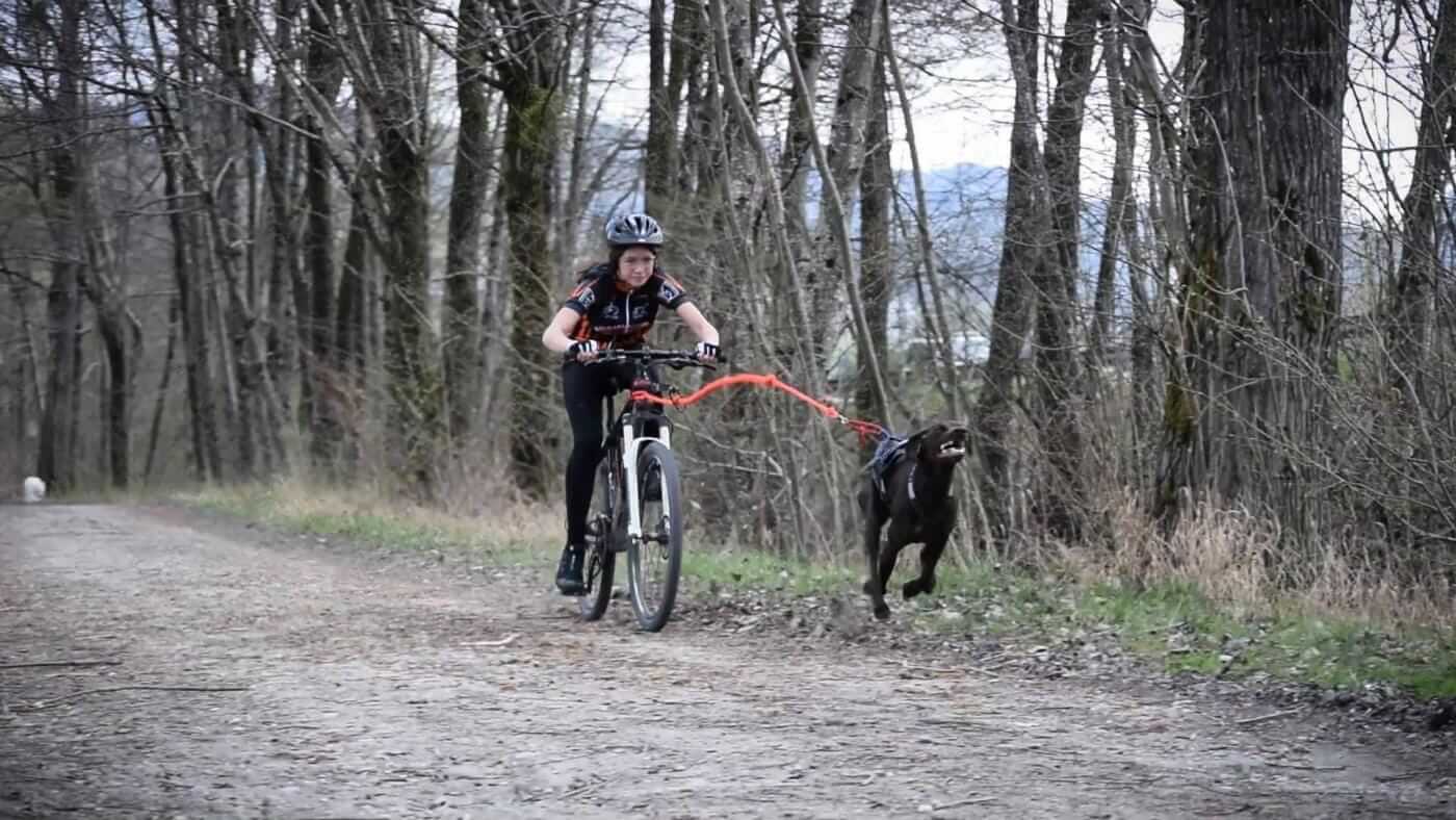 in bici col cane 