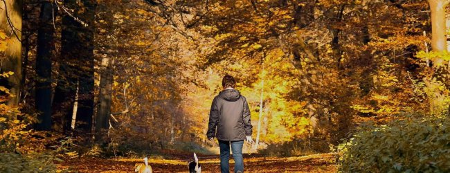 portare il cane a fare una passeggiata fuori