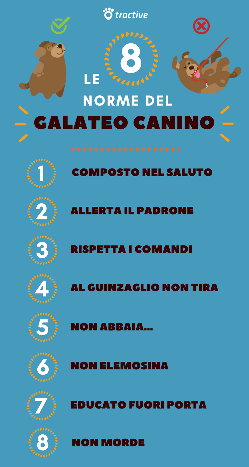 le 8 norme del galateo canino