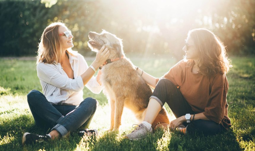 due donne e un cane siedono sull'erba in una giornata soleggiata