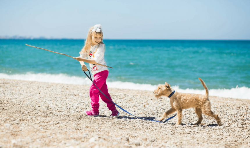 Come insegno al mio cane a non avere paura dell'acqua?