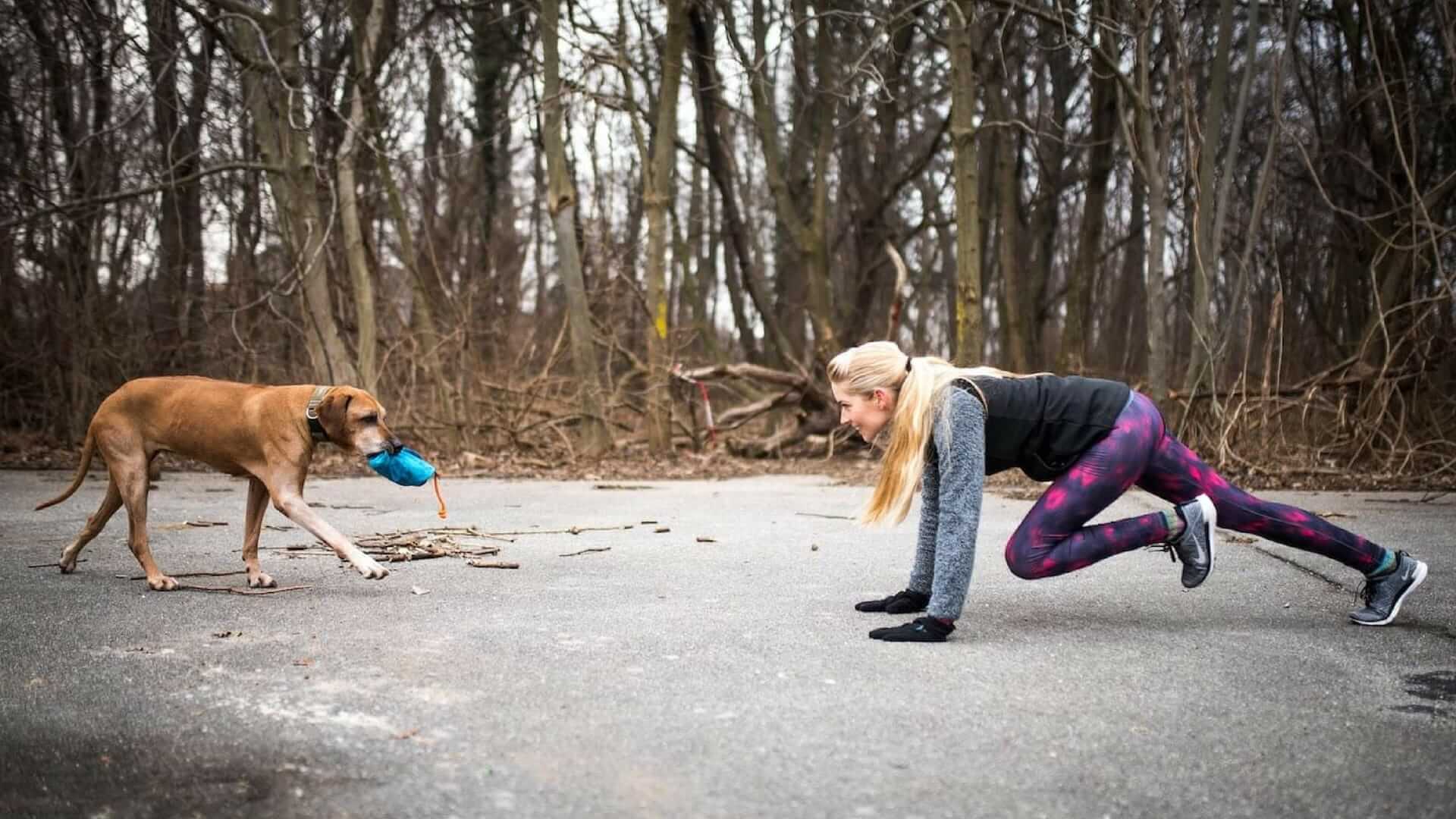 Fit werden mit Hund