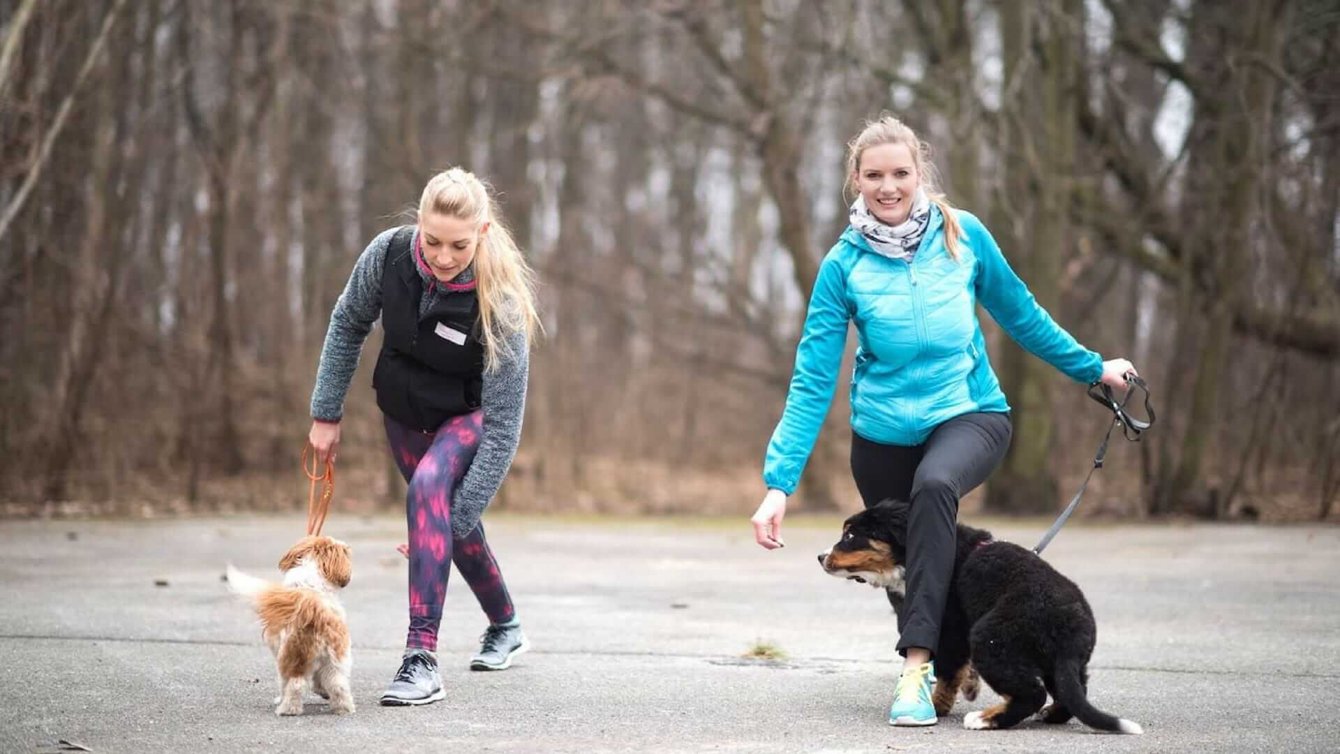 Fit werden mit Hund: Ausfallschritte