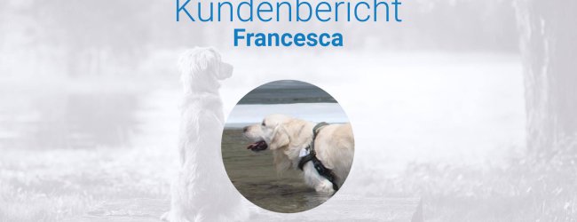 Hund büxt aus - Erfahrungsaustausch über den Tractive GPS Tracker