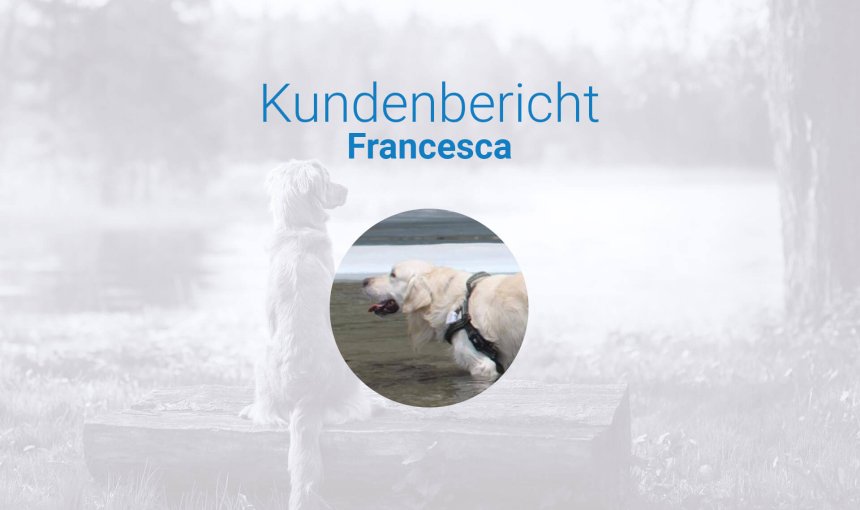 Hund büxt aus - Erfahrungsaustausch über den Tractive GPS Tracker