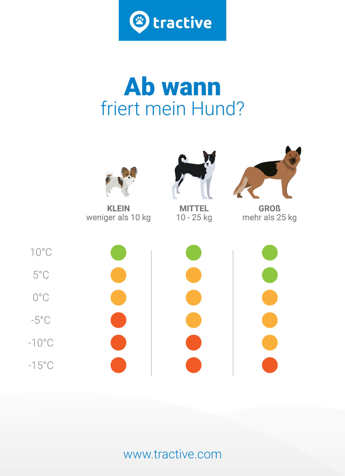 Übersichtstabelle, wann kleine, mittlere und große Hunde frieren