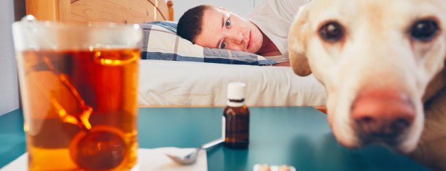 A sick man lying in bed next to a dog