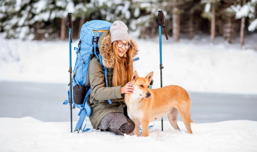 Skiurlaub mit Hund alles was du wissen musst