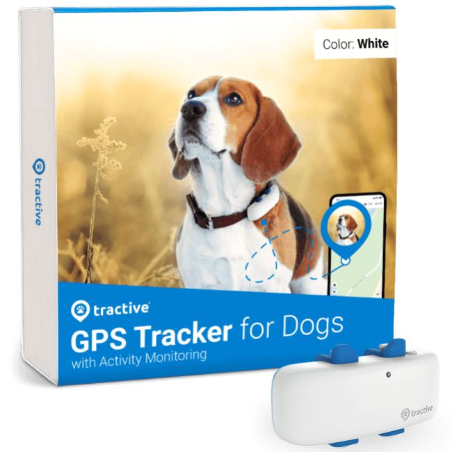 Tractive GPS dog tracker packaging