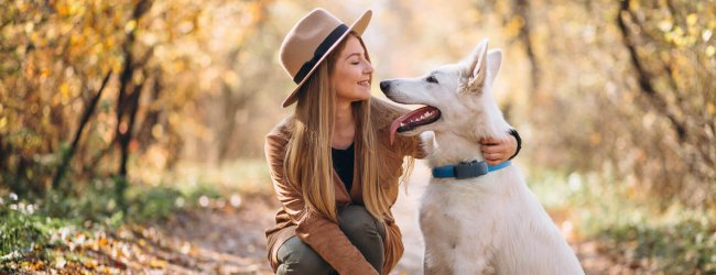 Hund mit Frauchen im Wald trägt Tractive GPS Tracker