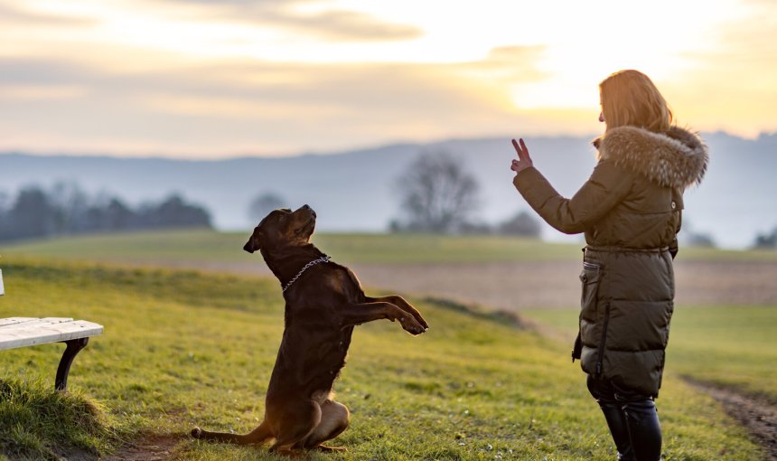 A woman training her dog outdoors