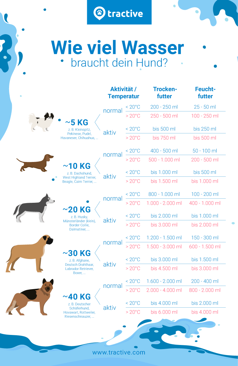 Grafik als Übersicht zum Trinkbedarf von Hunden