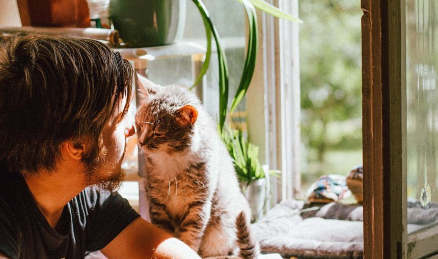 A man spending time with a cat indoors