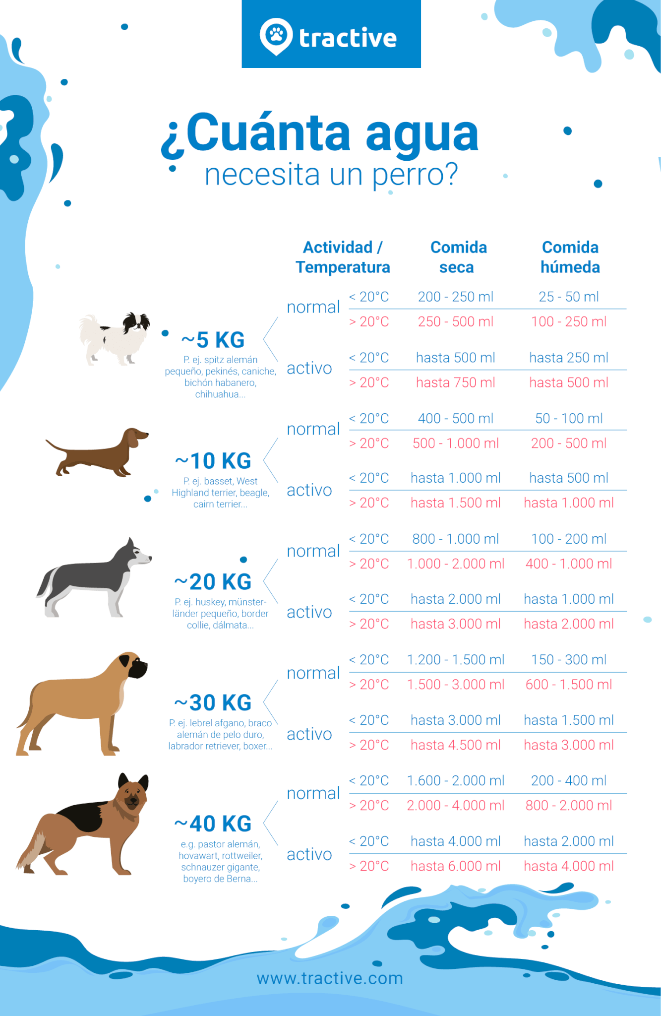 Infografía cuánta agua necesita un perro