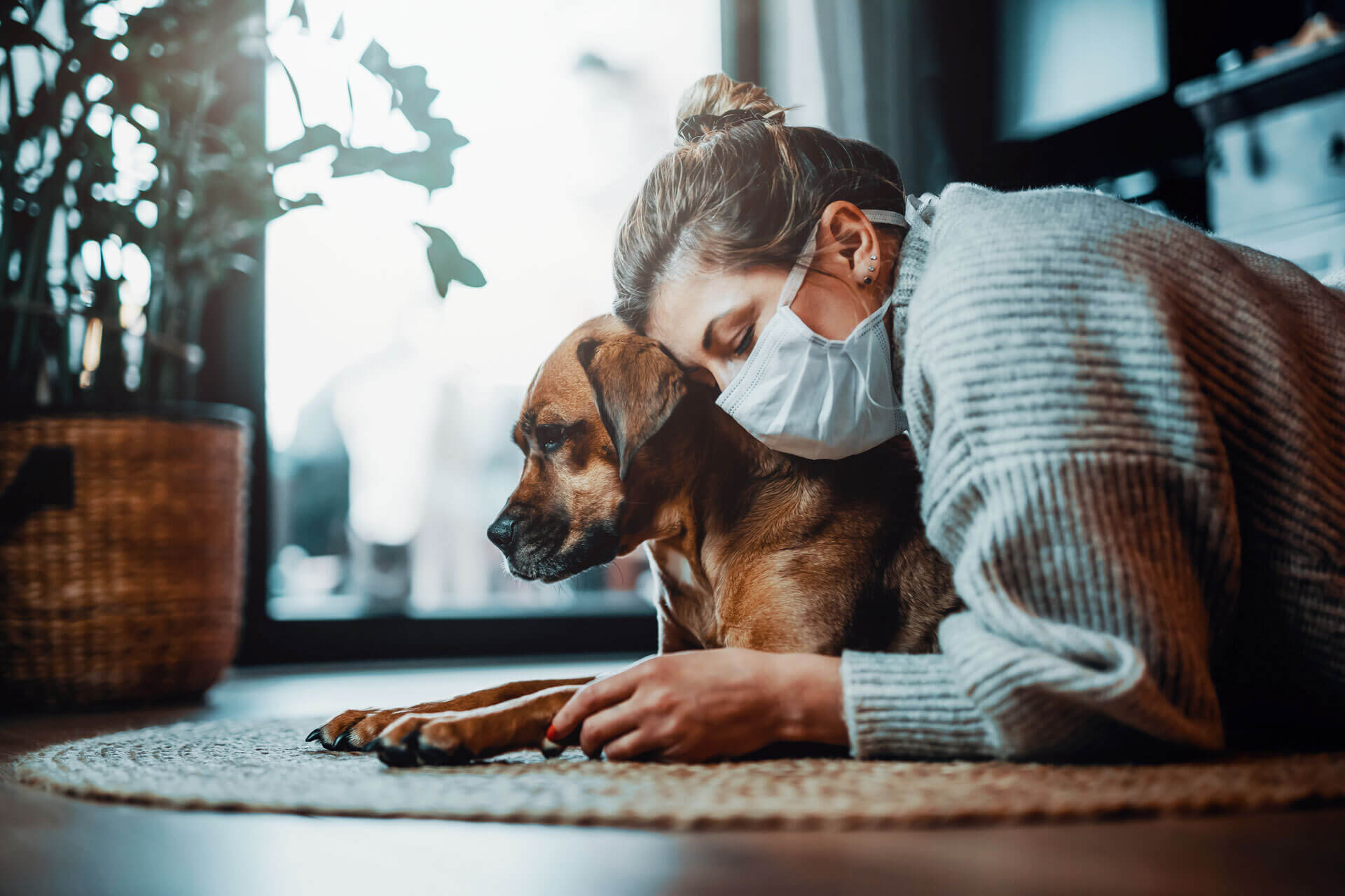 Hund und Hundebesitzerin mit Maske