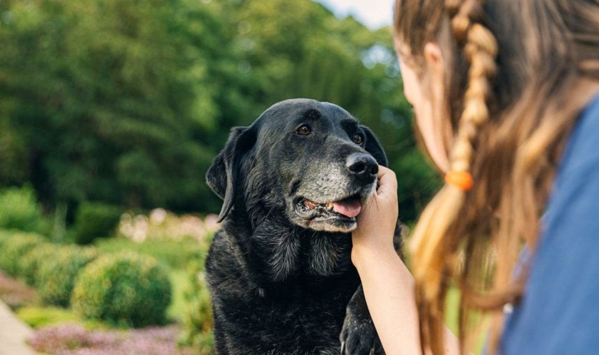 A woman petting her senior dog outdoors