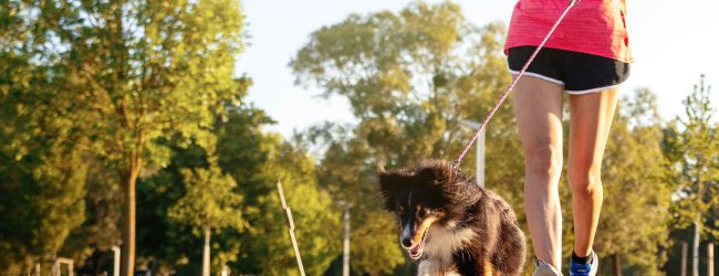 sportliche Frau und Hund laufen im Freien