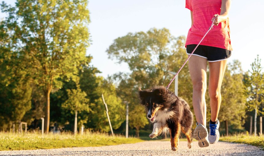 sportliche Frau und Hund laufen im Freien