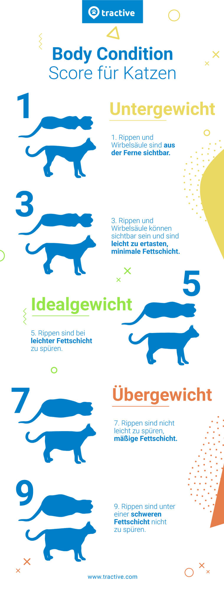 Body Condition Score Gewichts-Skala 1-9 für Katzen - Katze Übergewicht