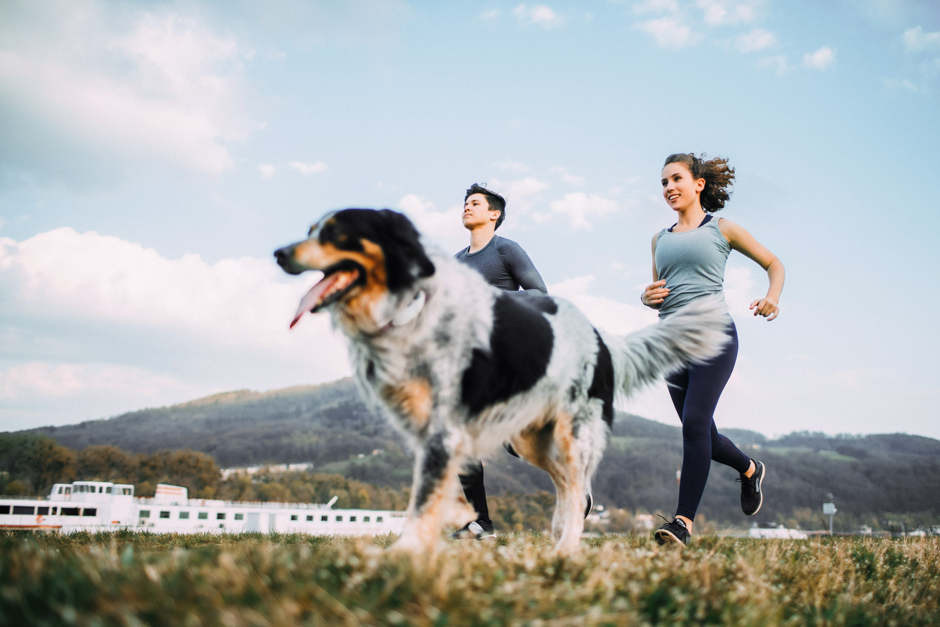 Zwei joggende Menschen laufen mit dreifärbigem Hund durch die Natur