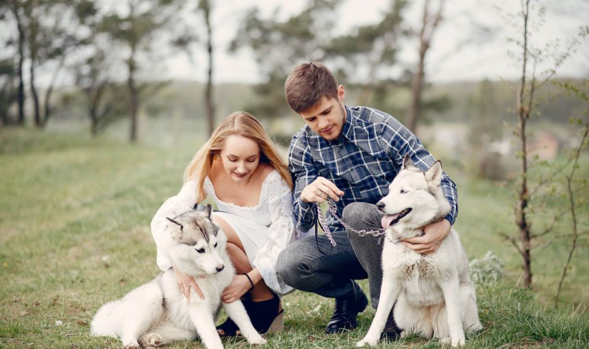 Mann und Frau mit ihren Hunden in der Natur