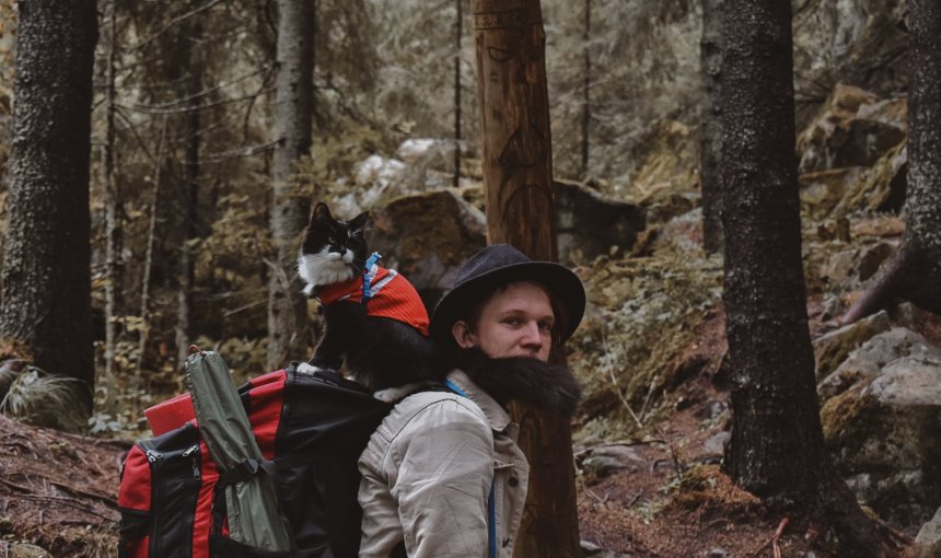 A man hiking with their cat in a forest