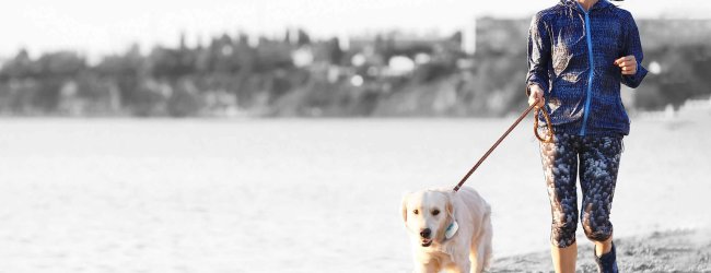 femme faisant du jogging sur la plage avec son chien à la laisse qui porte un GPS Tractive