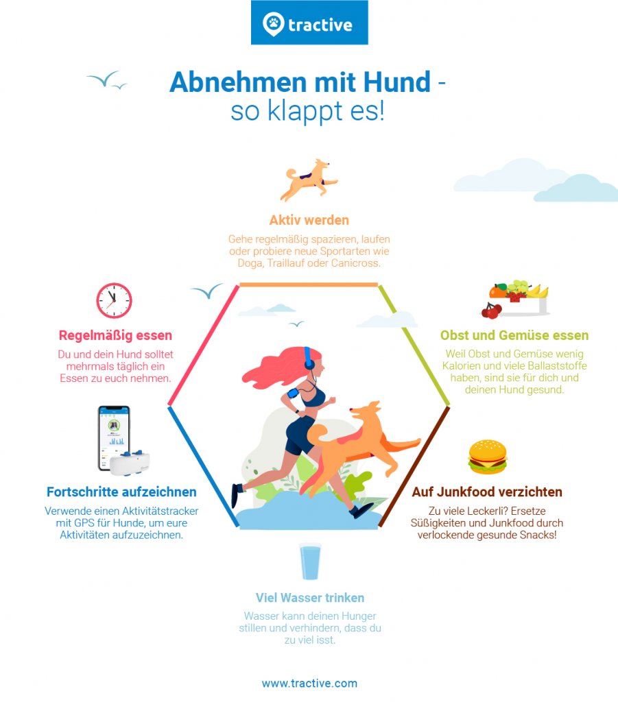 Abnehmen mit Hund Infographic