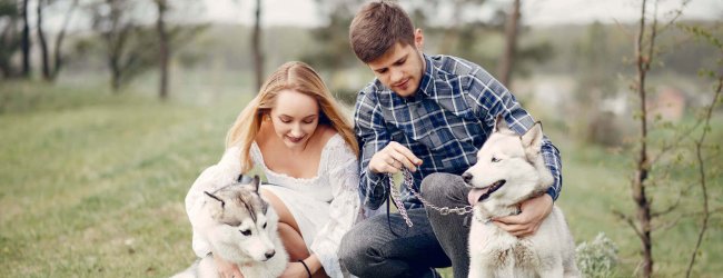 homme et femme accroupis dans un champ avec deux chiens blancs à la laisse