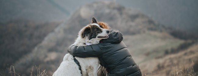 man and dog in embrace - white dog wearing Tractive GPS dog tracker