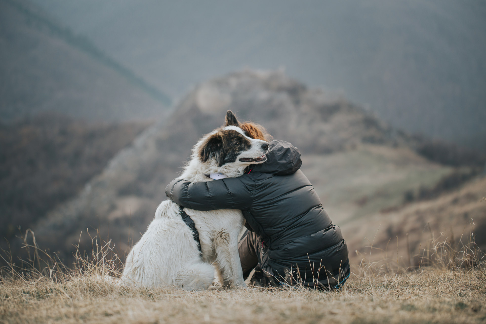 En kvinna som kramar en vit hund med svart sele och hund-GPS