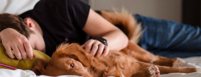 A man sleeping in bed next to a dog