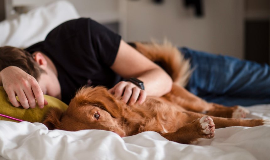 A man sleeping in bed next to a dog