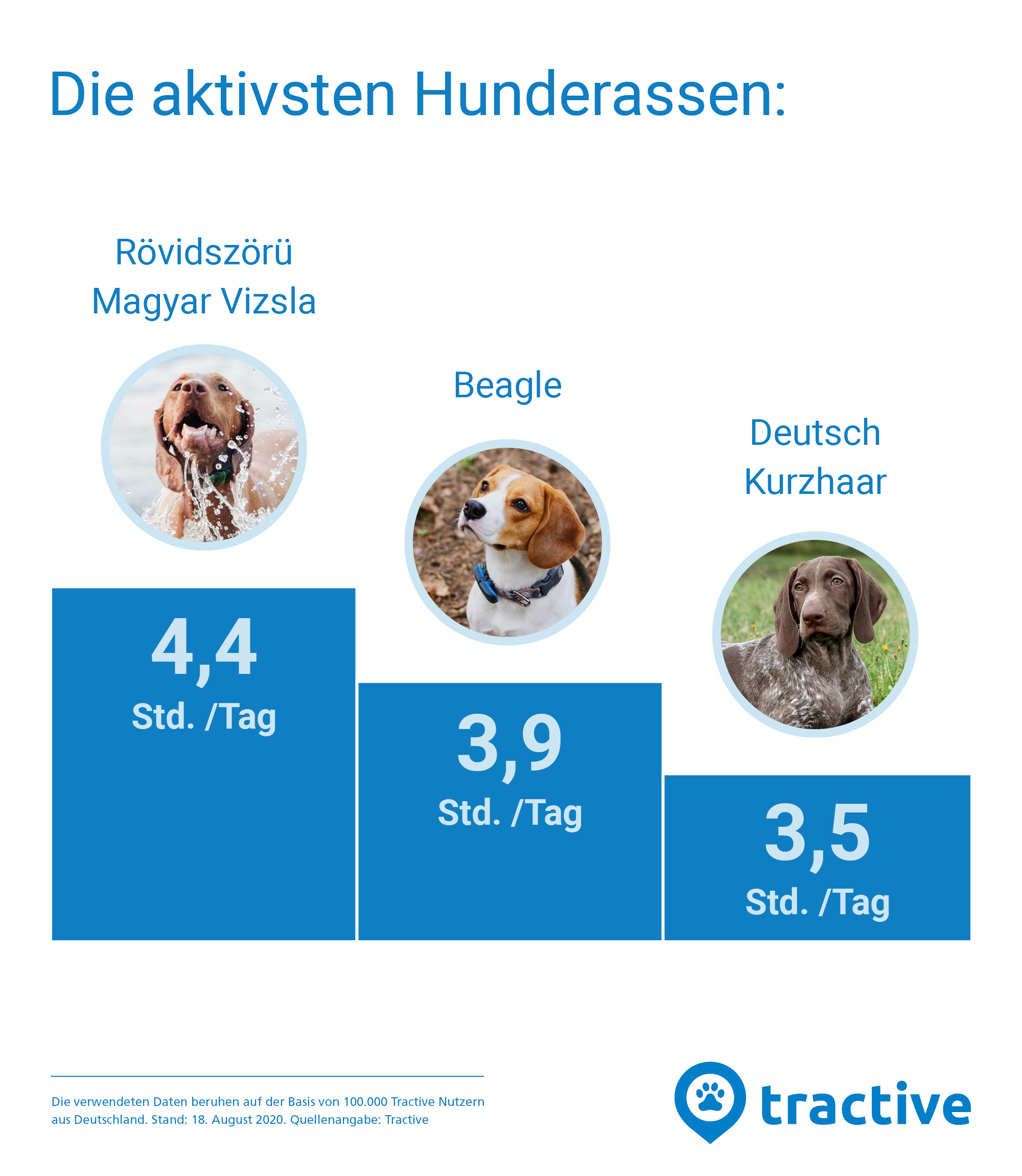 Grafik mit den aktivsten Hunderassen