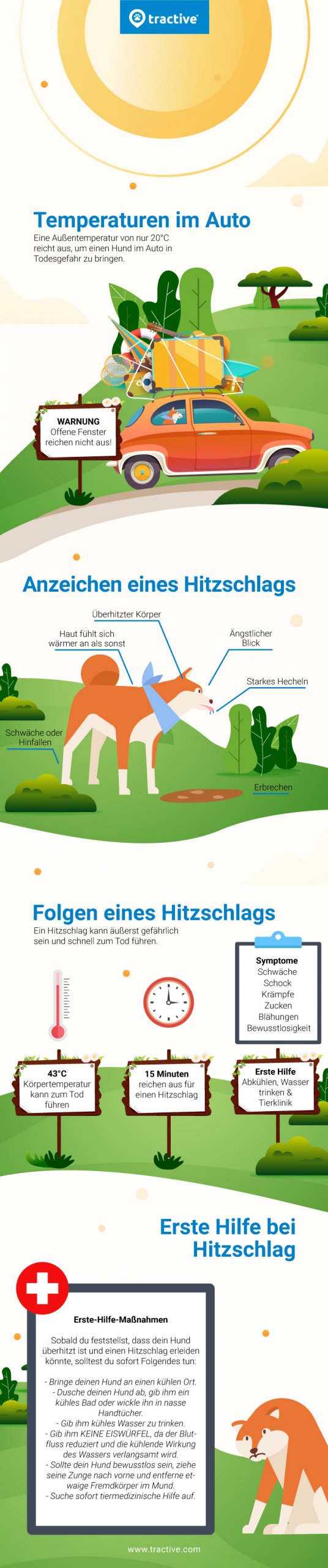 Infografik zu Ursachen, Symptomen und Sofortmaßnahmen bei Hitzschlag beim Hund