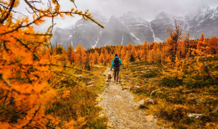 A man hiking with a dog on leash in an autumn forest