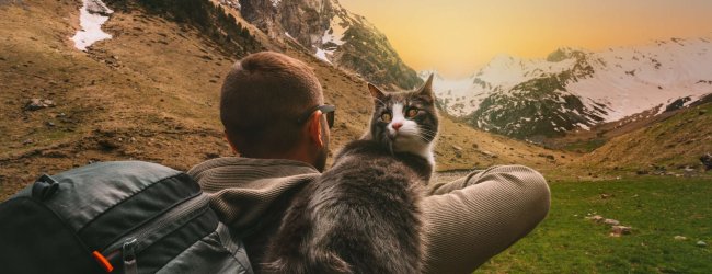 A man hiking with a cat in the mountains