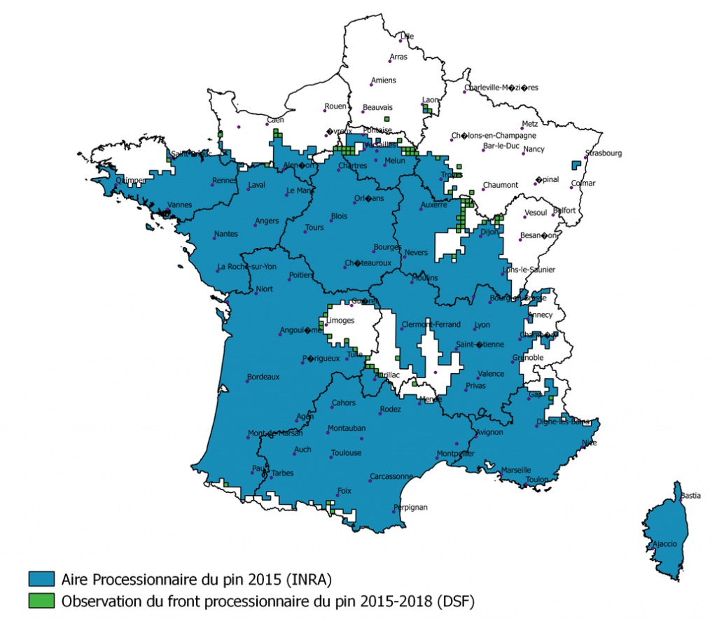 carte de France continentale et de Corse qui illustre l’avancée des chenilles processionnaires sur le territoire